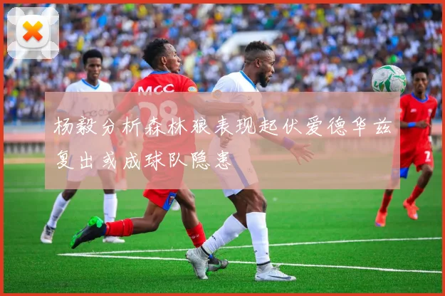 杨毅分析森林狼表现起伏爱德华兹复出或成球队隐患
